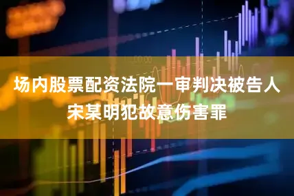 场内股票配资法院一审判决被告人宋某明犯故意伤害罪