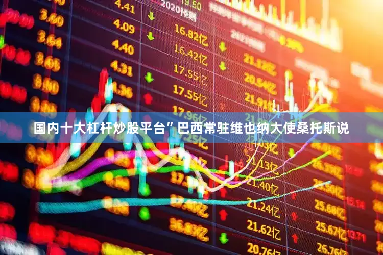 国内十大杠杆炒股平台”巴西常驻维也纳大使桑托斯说