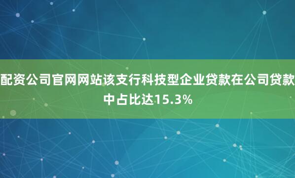 配资公司官网网站该支行科技型企业贷款在公司贷款中占比达15.3%