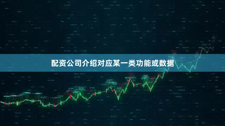 配资公司介绍对应某一类功能或数据